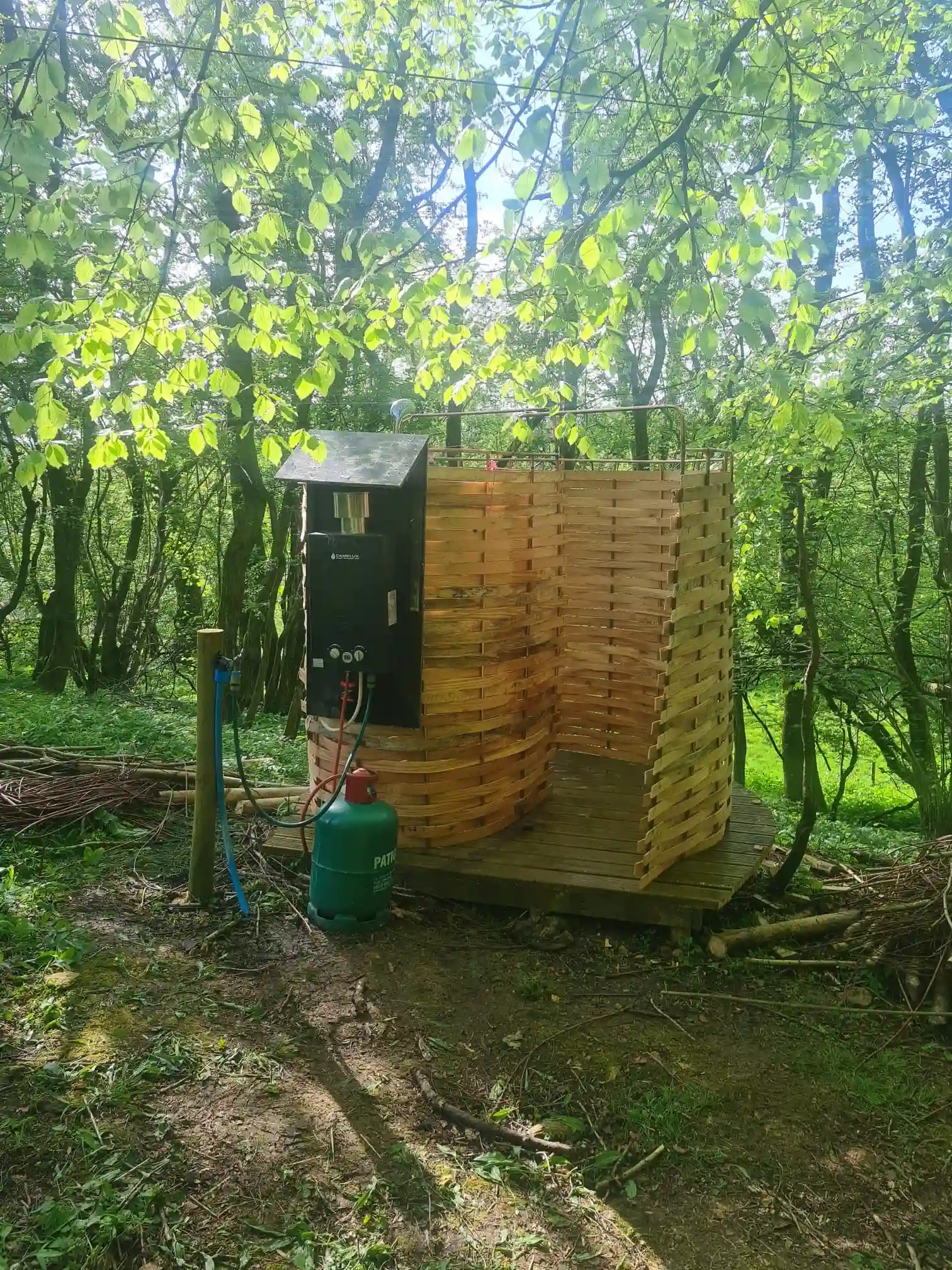 Woodland site detail