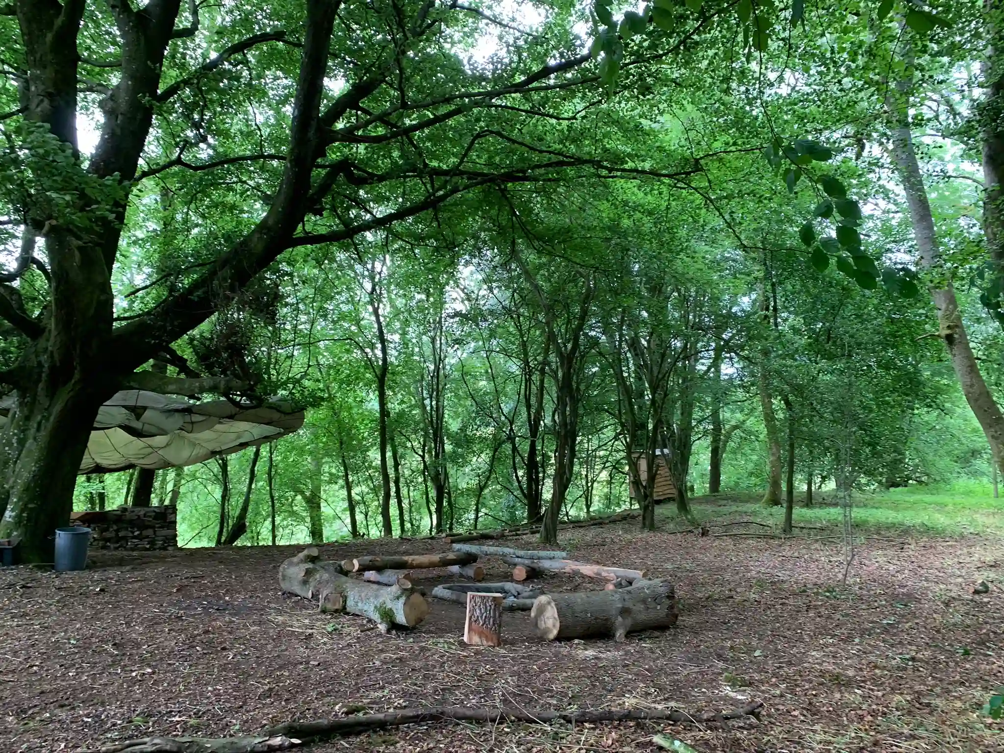 Woodland circle area