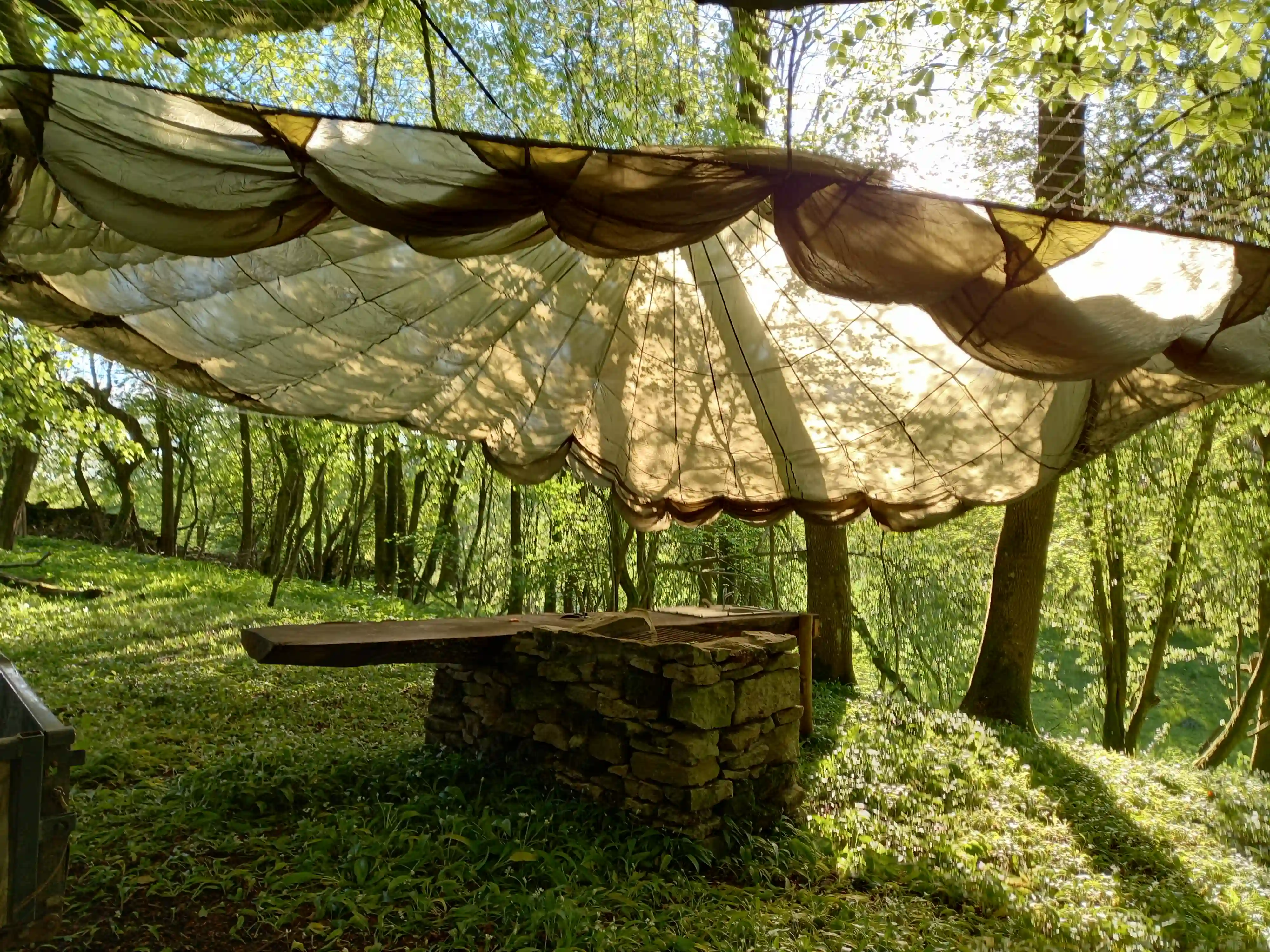 Woodland parachute canopy